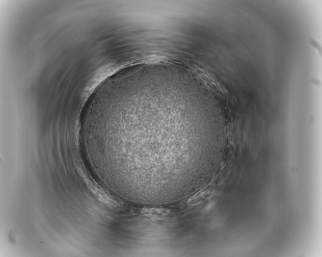 X0000093370242200710251200