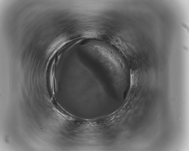 X0000093370243200710251200