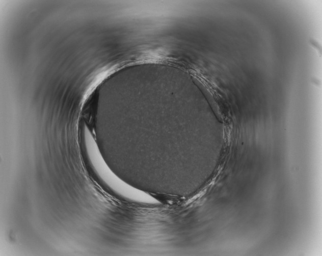 X0000093370244200710251200