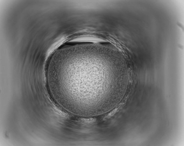 X0000093370245200710251200