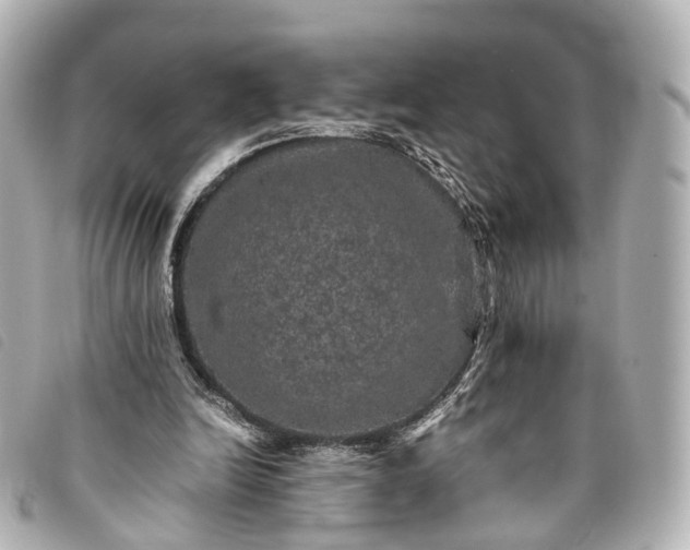 X0000093370246200710251200