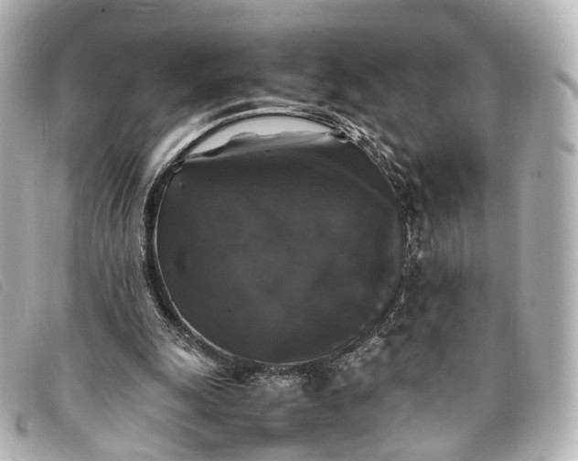 X0000093370247200710251200