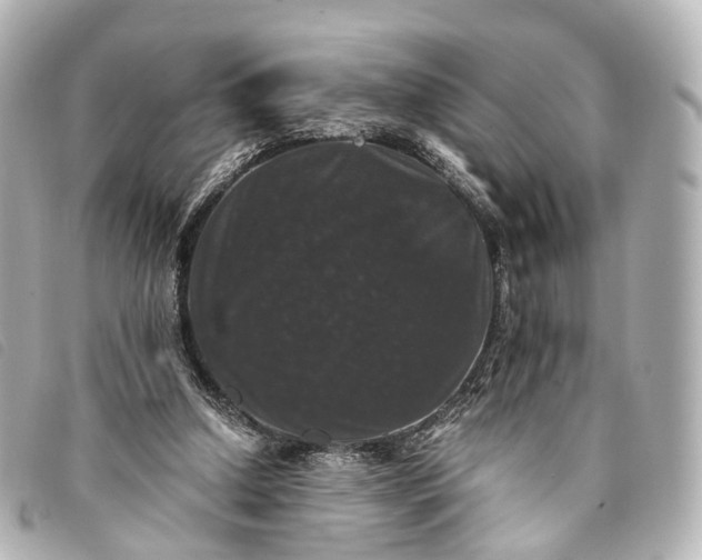 X0000093370250200710251200