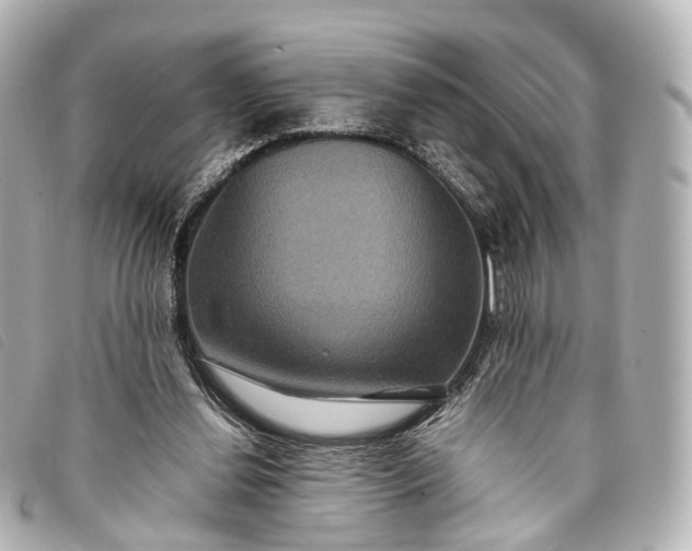 X0000093370252200710251200