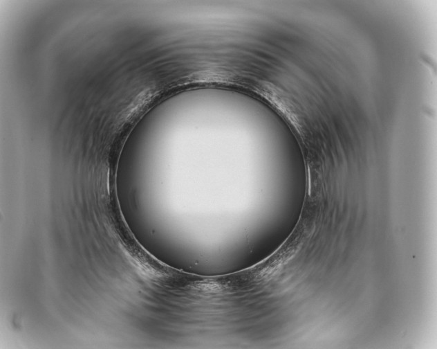 X0000093370253200710251200