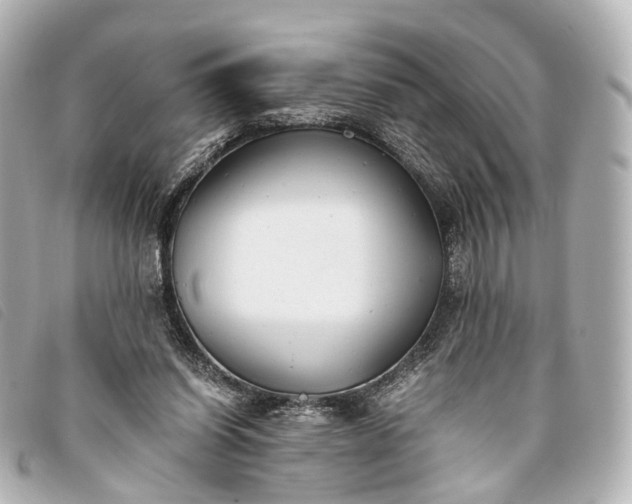 X0000093370254200710251200