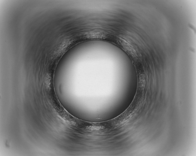 X0000093370255200710251200