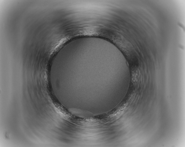 X0000093370256200710251200