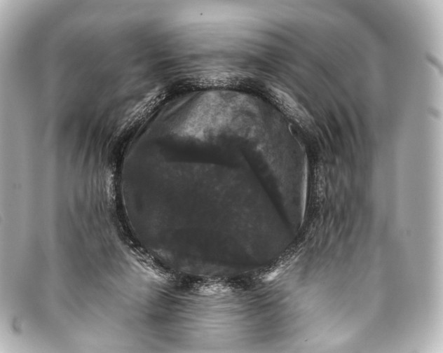 X0000093370258200710251200