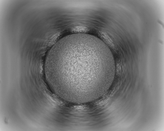 X0000093370259200710251200