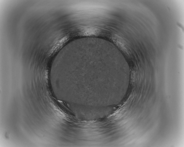 X0000093370260200710251200