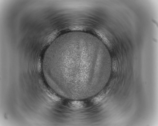 X0000093370261200710251200