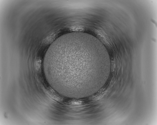 X0000093370263200710251200