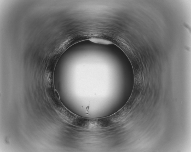 X0000093370264200710251200