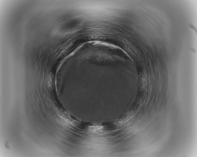 X0000093370266200710251200