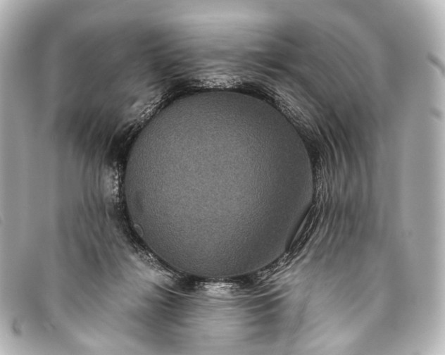 X0000093370268200710251200