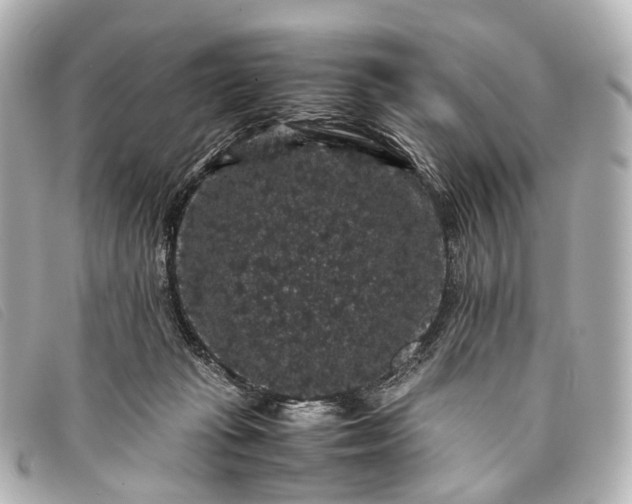 X0000093370269200710251200