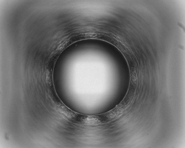 X0000093370270200710251200