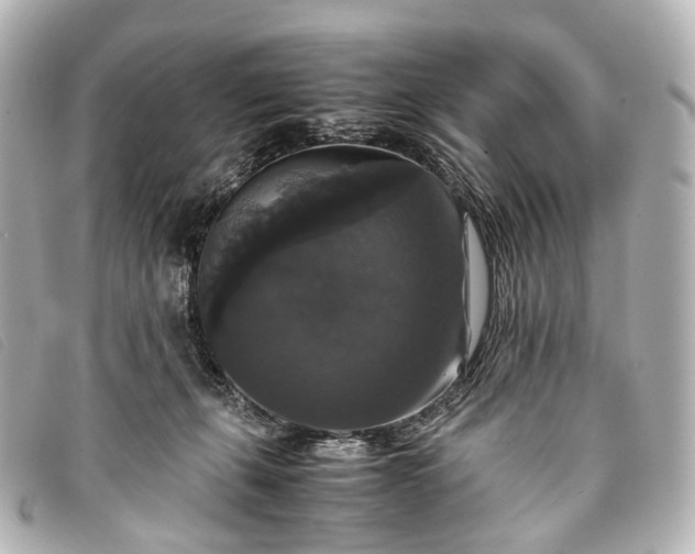 X0000093370271200710251200