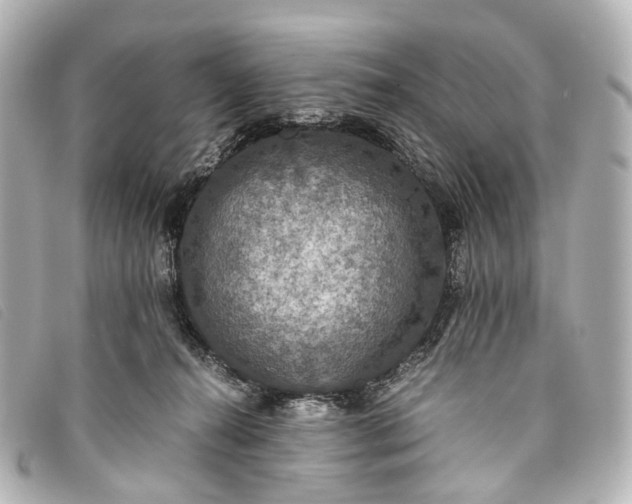 X0000093370272200710251200