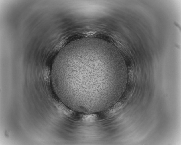 X0000093370274200710251200