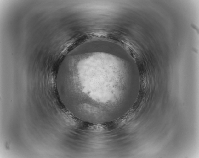 X0000093370276200710251200