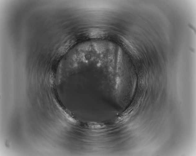 X0000093370277200710251200