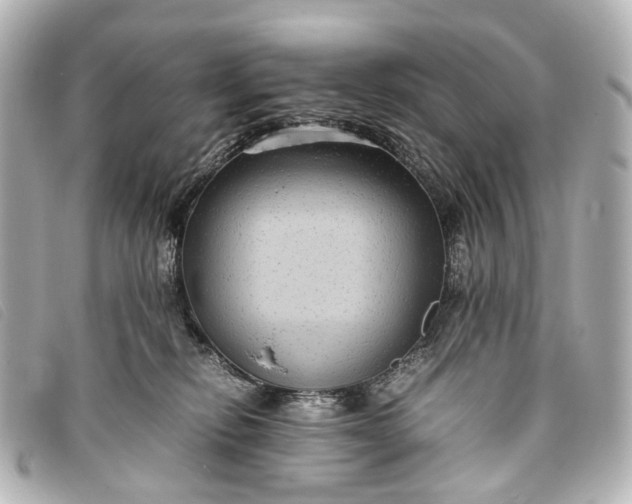 X0000093370278200710251200