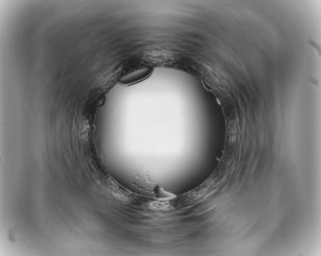 X0000093370279200710251200