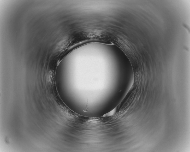 X0000093370280200710251200