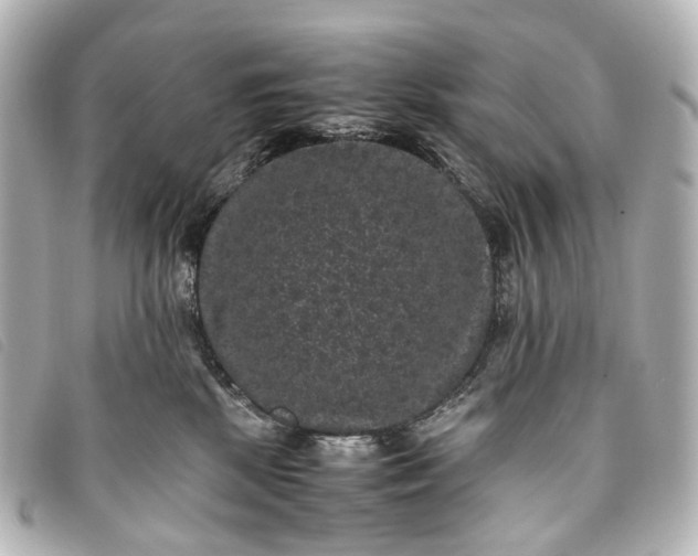 X0000093370281200710251200