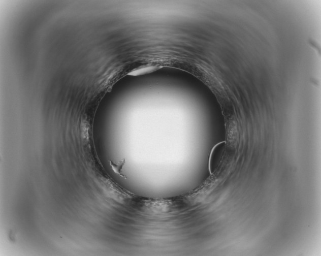 X0000093370282200710251200