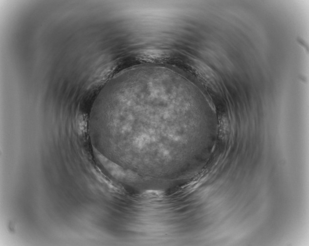 X0000093370284200710251200