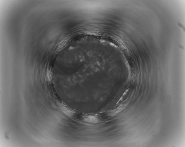 X0000093370285200710251200