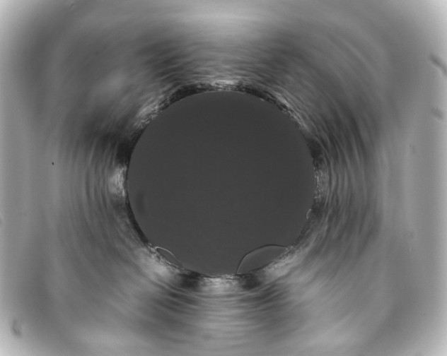 X0000093370286200710251200