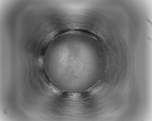 X0000093370288200710251201