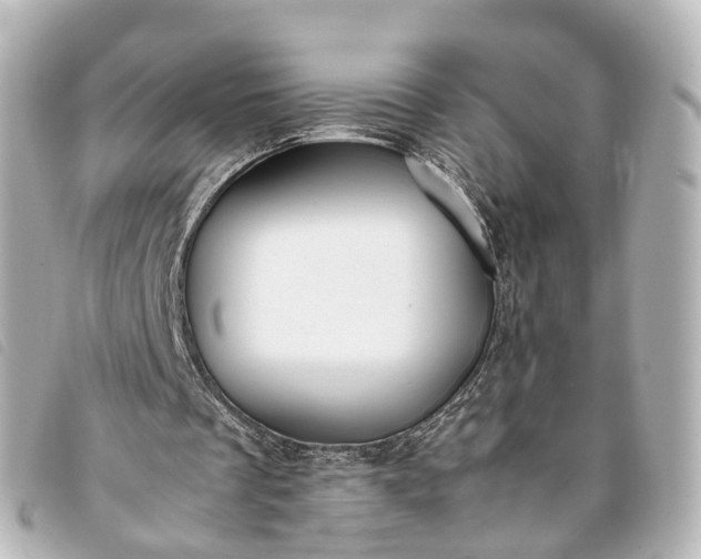 X0000093370289200710251200