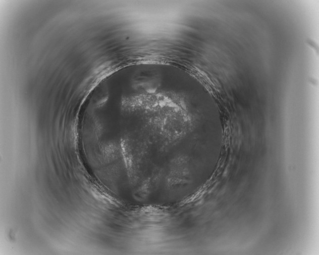 X0000093370290200710251200