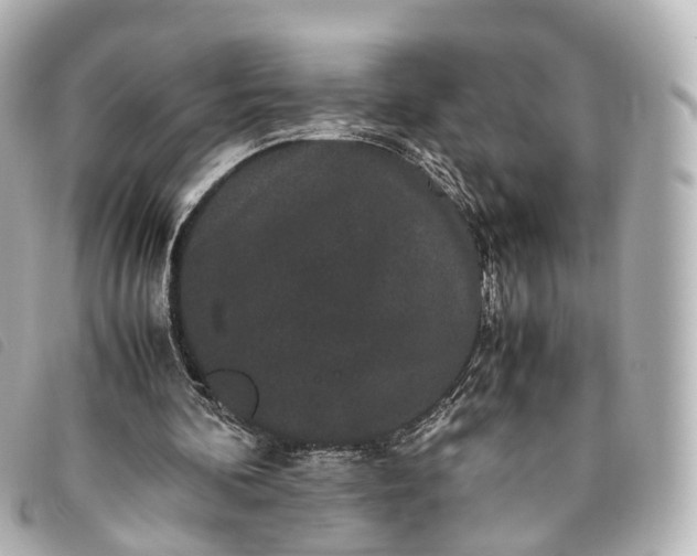 X0000093370292200710251200