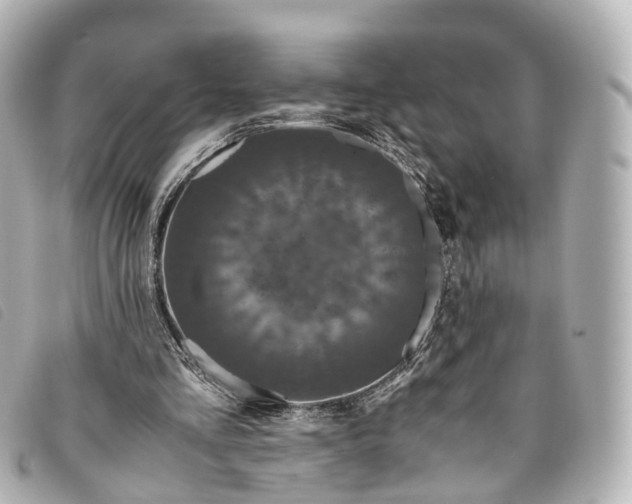 X0000093370293200710251200