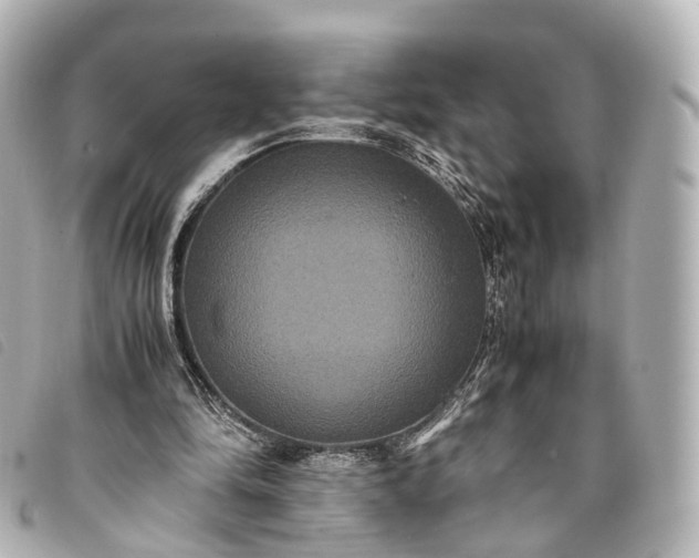 X0000093370294200710251200