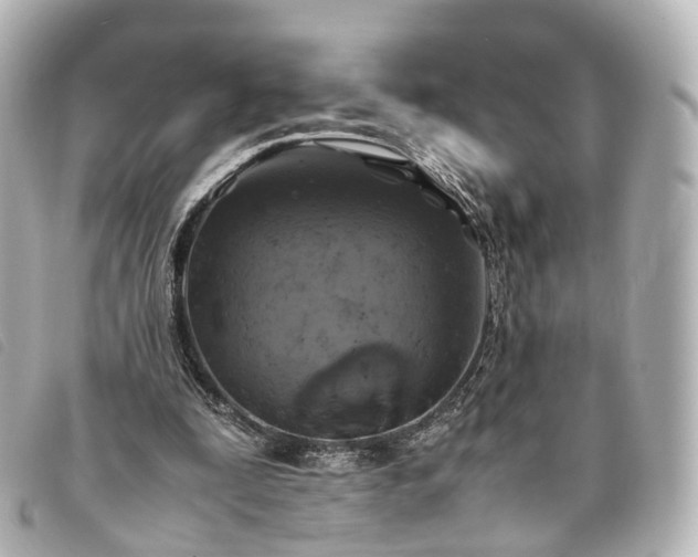 X0000093370295200710251200