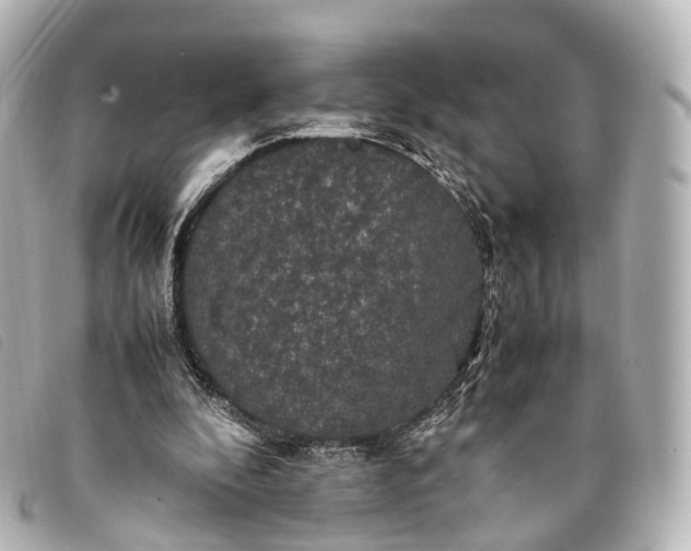 X0000093370296200710251200