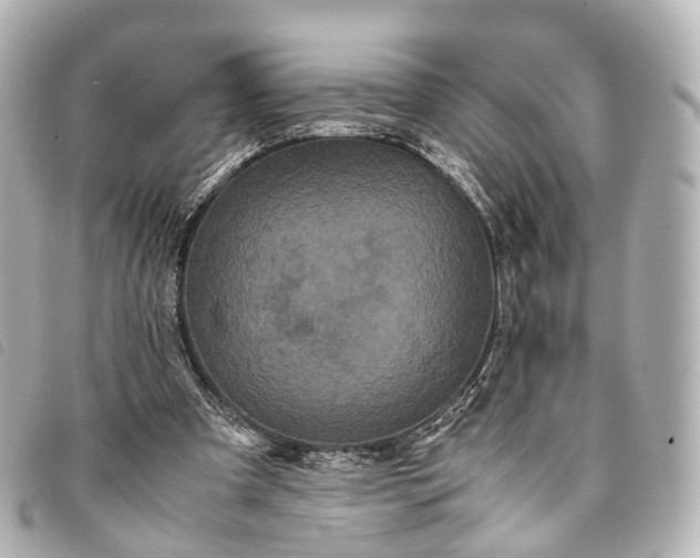 X0000093370297200710251200