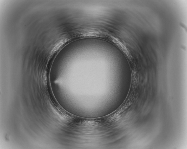 X0000093370298200710251200