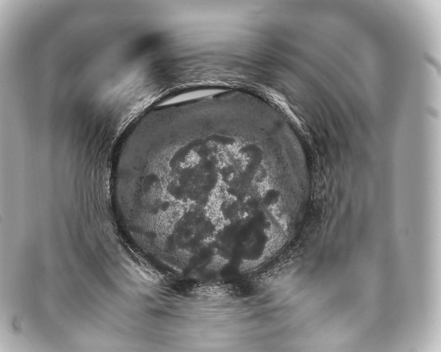 X0000093370299200710251200