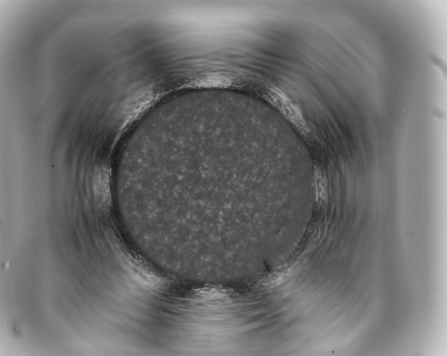 X0000093370300200710251200