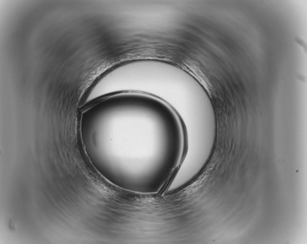 X0000093370301200710251200