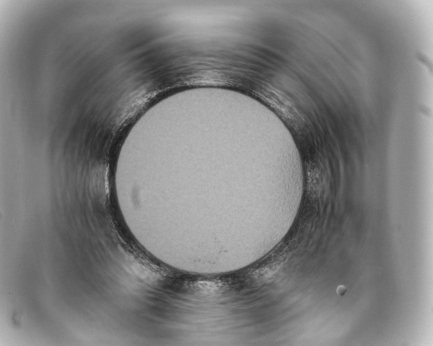 X0000093370302200710251200