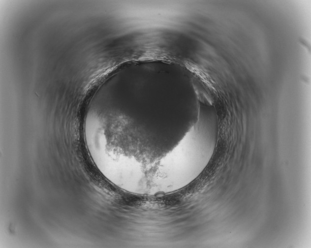 X0000093370303200710251200